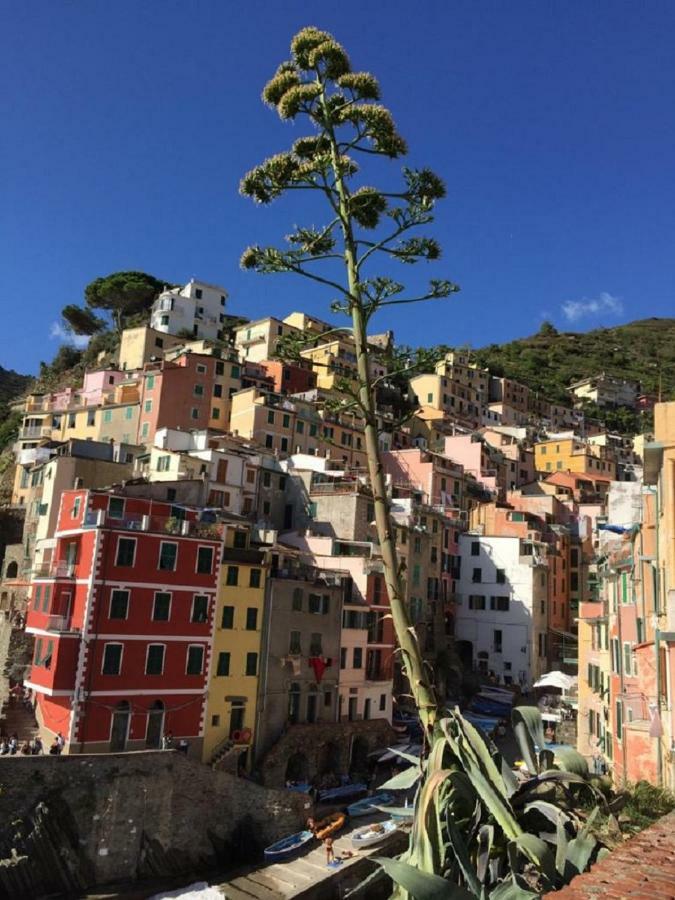 Sergeant First Class Riomaggiore Extérieur photo